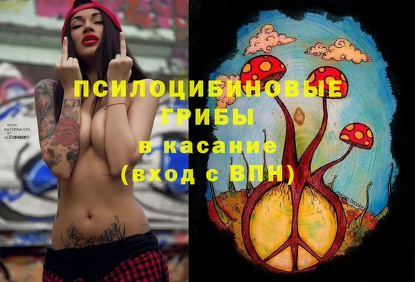 MDMA Бородино