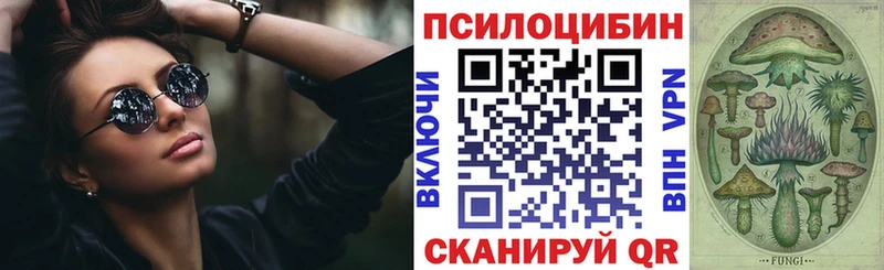 купить наркотики сайты  Нижний Тагил  Псилоцибиновые грибы мицелий 