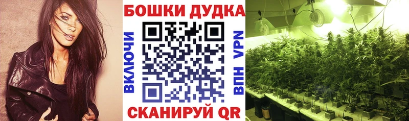 Каннабис конопля Нижний Тагил